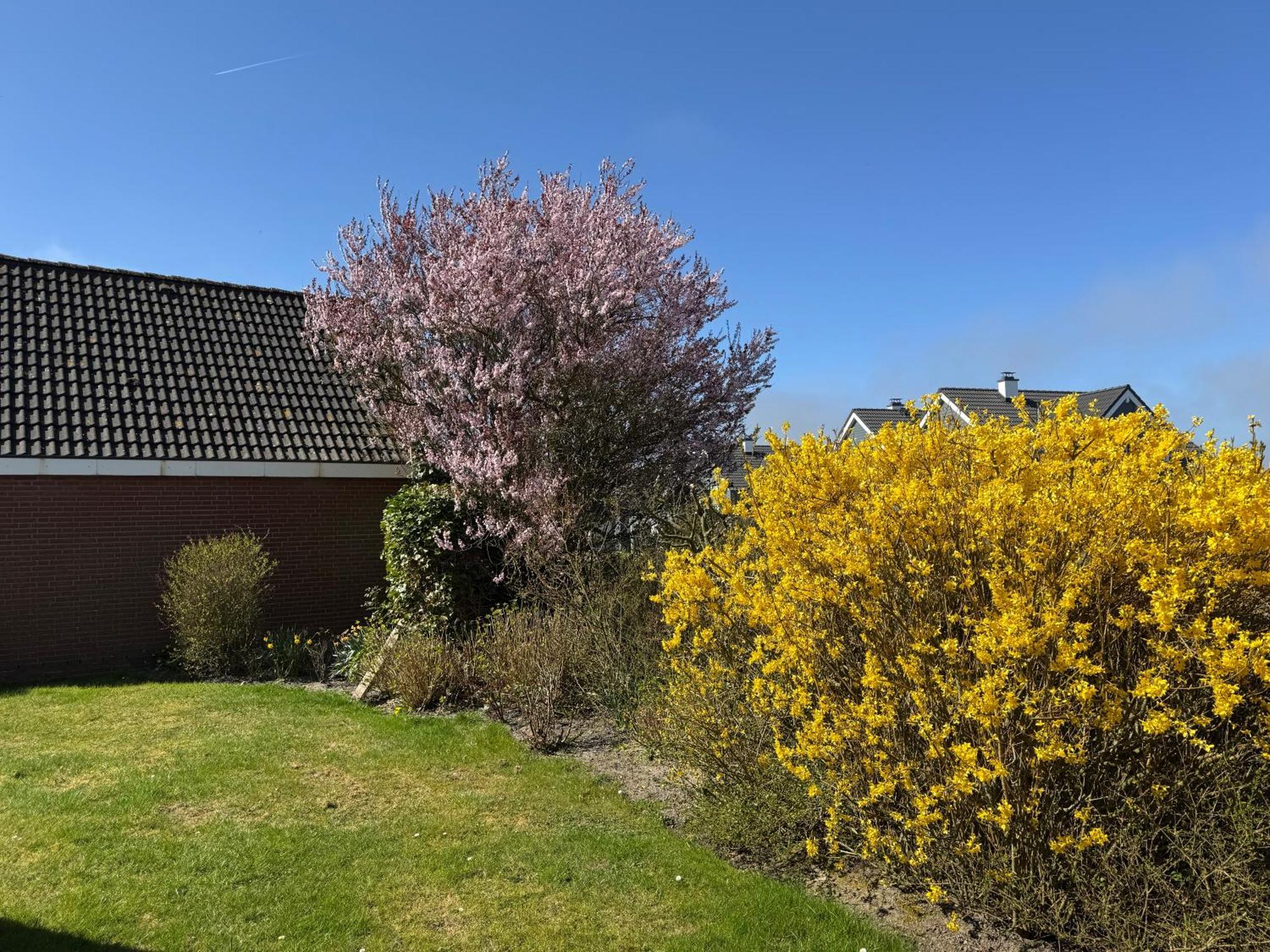 Haus Nordstrand Apartment Busum